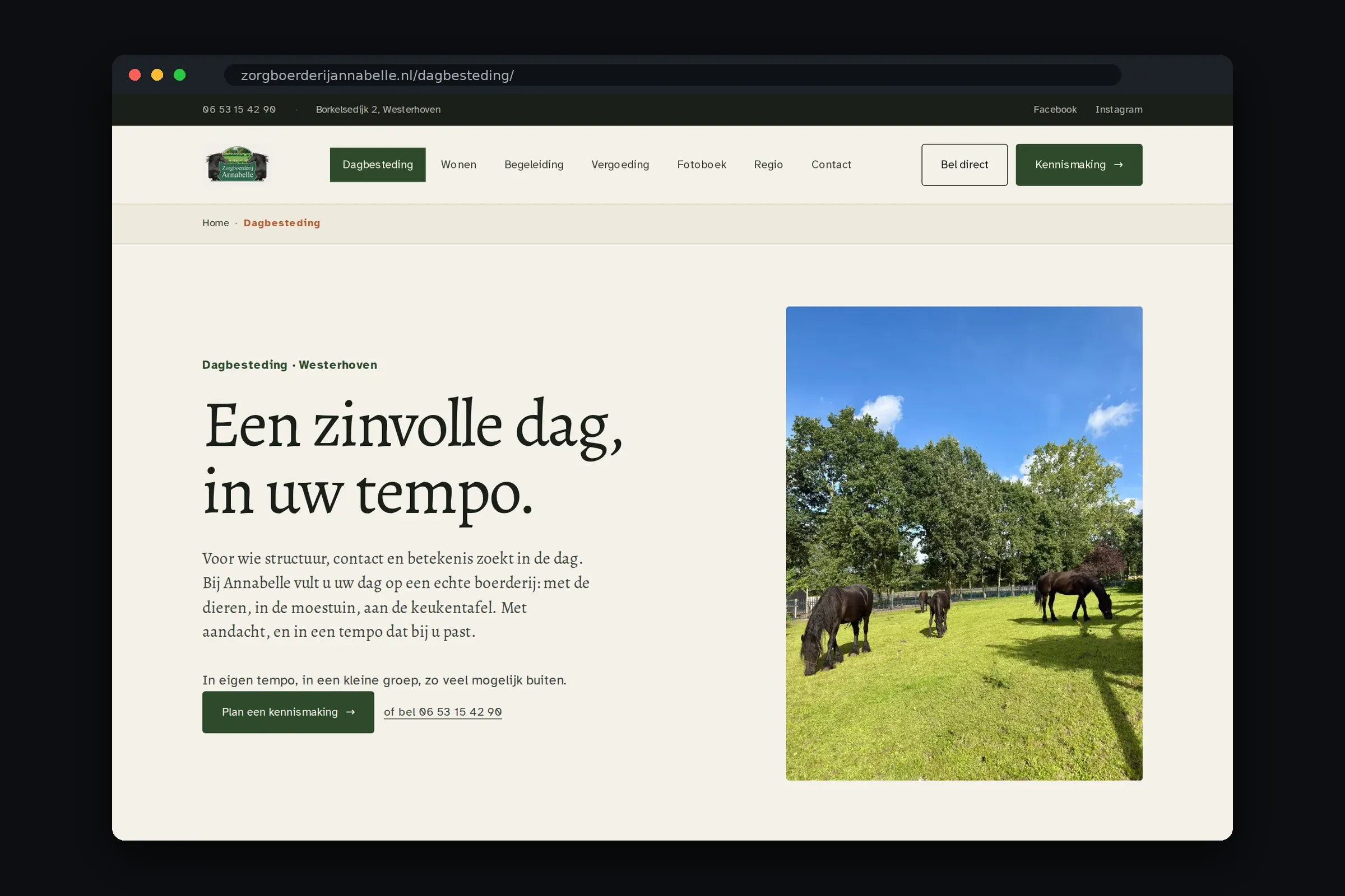 Pagina over dagbesteding met veelgestelde vragen